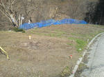 20120405b.JPG