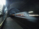 20120406d.JPG