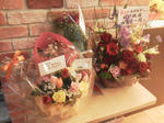 20120409d.JPG
