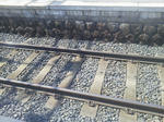 20120414a.JPG