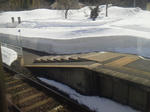 20120414c.JPG