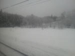 20120508g.JPG