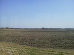 20120602h.JPG
