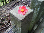 20120607f.JPG