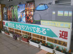 20120627h.JPG