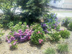 20120704d.JPG