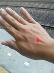 20120705b.JPG