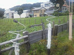 20120705f.JPG