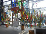 20120731d.JPG