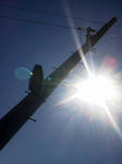 20120808d.JPG
