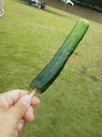 20120811d.JPG