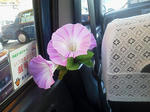 20120819b.JPG