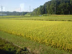 20120902a.JPG