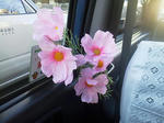 20120904a.JPG