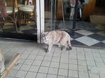 20120928h.JPG