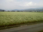 20121015f.JPG