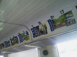 20121104c.JPG