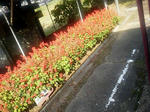 20121105b.JPG