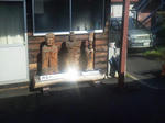 20121105c.JPG