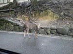 20121108b.JPG