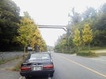 20121111f.JPG