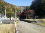 20121120f.JPG