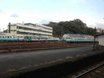 20130106b.JPG