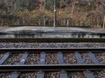 20130116c.JPG