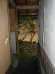 20130116e.JPG