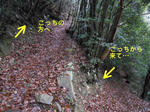 20130117d.JPG