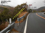 20130117e.JPG