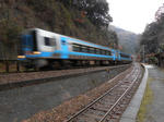 20130118g.JPG