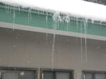 20130124d.JPG