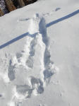 20130126c.JPG