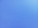 20130126g.jpg