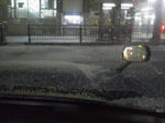 20130128b.JPG