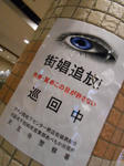 20130131h.JPG