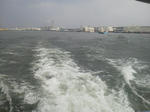 20130205b.JPG