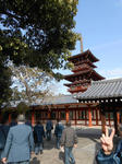 20130206b.JPG