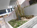 20130208b.JPG