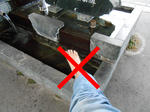 20130215f.JPG