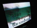 20130219f.JPG