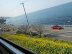 20130220g.JPG