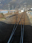 20130224e.JPG