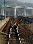 20130225c.JPG
