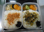 20130226b.JPG