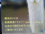 20130303b.JPG