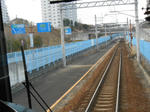 20130304a.JPG