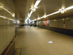 20130306h.JPG