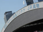 20130307f.JPG